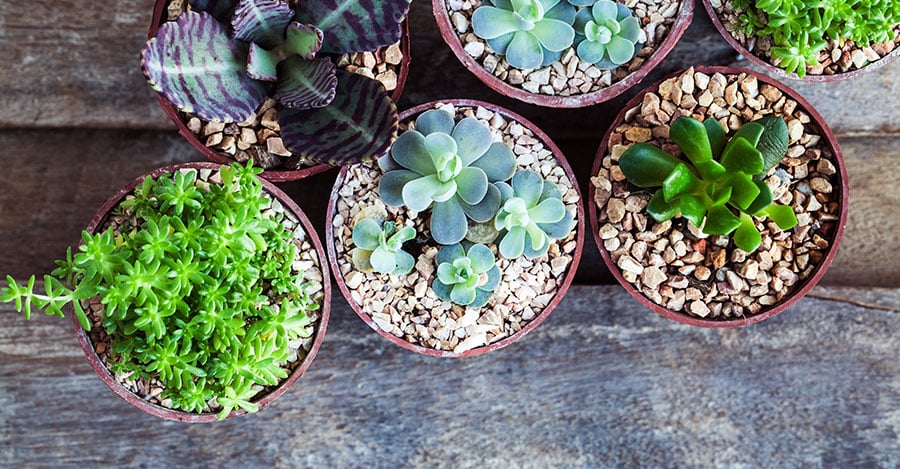 interiores-365023982